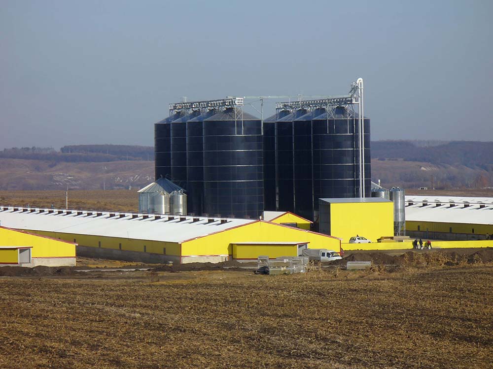 8 Silos 11,1mtr.
16000t Mais
4 Mühlen 24,5KW